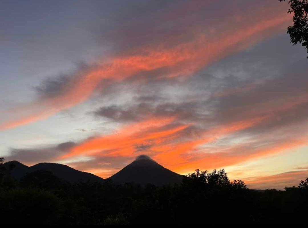 Cabana Rural Ave Del Paraiso La Fortuna Dış mekan fotoğraf