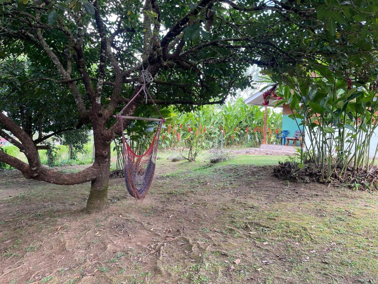 Cabana Rural Ave Del Paraiso La Fortuna Dış mekan fotoğraf